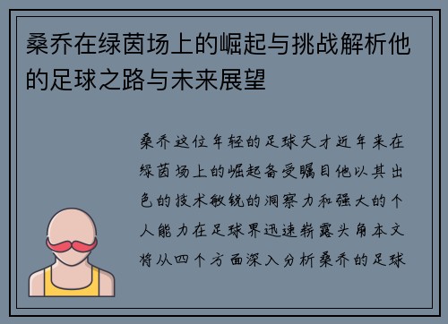 桑乔在绿茵场上的崛起与挑战解析他的足球之路与未来展望